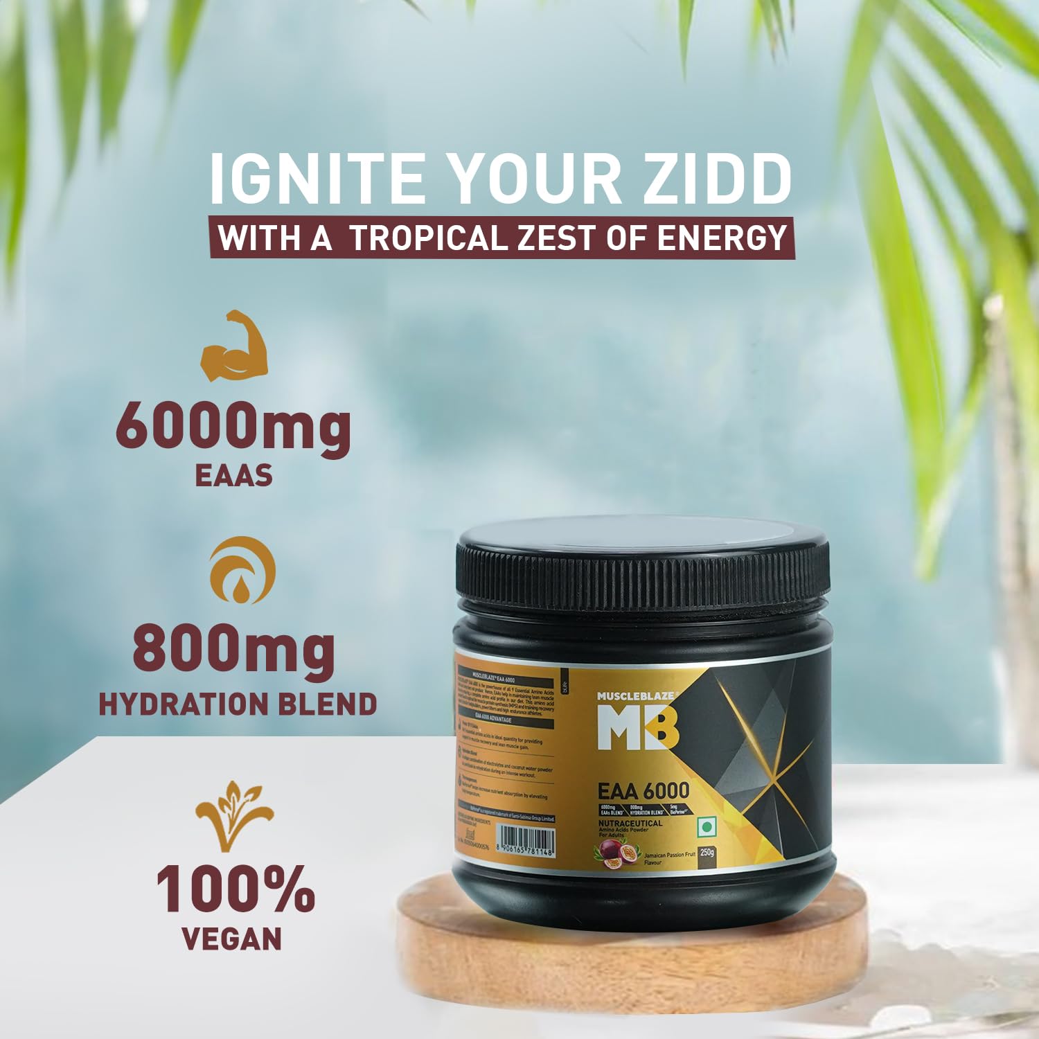 mb-eaa6000-250gm-pf-banner 1